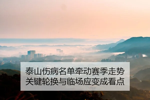 tai-shan-shang-bing-ming-dan-qian-dong-sai-ji-zou-shi-guan-jian-lun-huan-yu-lin-chang-ying-bian-cheng-kan-dian-2-278.jpg